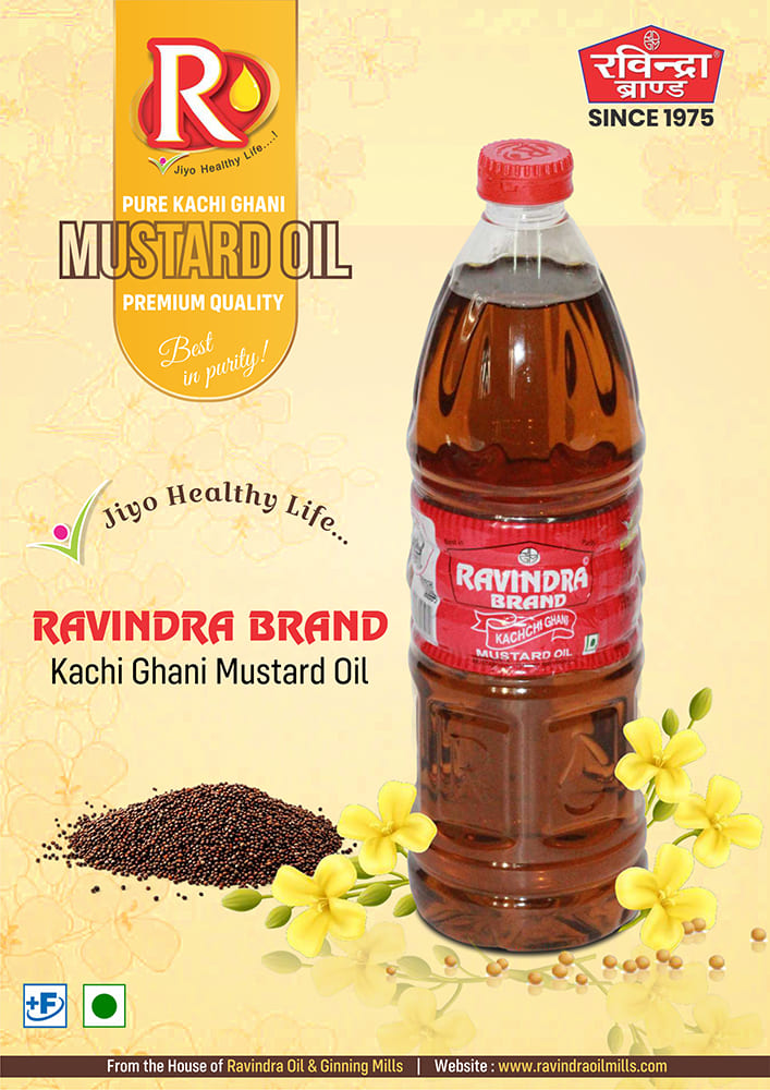 Ravindra Catalogue Cover English